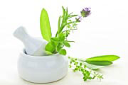Healing Herbs