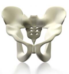 Pelvic Physiotherapy in the Netherlands, not only for women