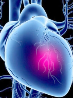 Heart Stem Cells and LVAD may Avoid Transplants