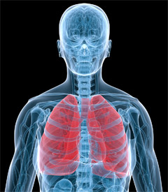 Pinpointing Lung Cancer