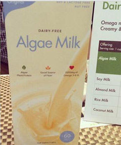 Algae milk: A new dairy, soy, lactose and nuts free diet for vegans  