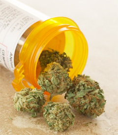 Medical Marijuana Not Recommended for Arthritis! 