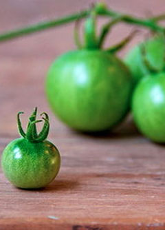Green tomatoes may hold the answer to bigger, stronger muscles
