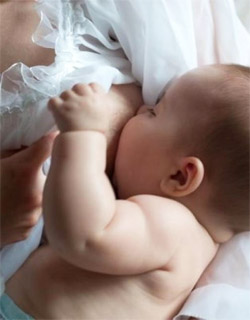 Human milk fat improves growth in premature infants