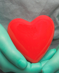 Predicting Heart Transplant Rejection with a Blood Test 