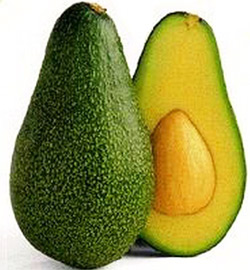 Avocado