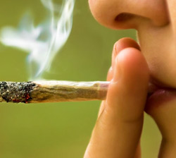 Legalizing medical marijuana does not increase use among adolescents: A Study       