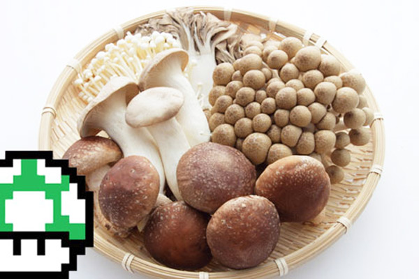 Japanese-mushroom