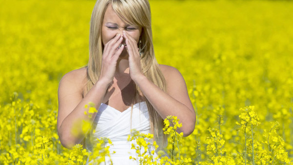 Rise-spring-allergies