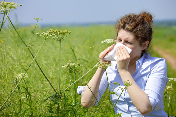 Higher-grass-pollen