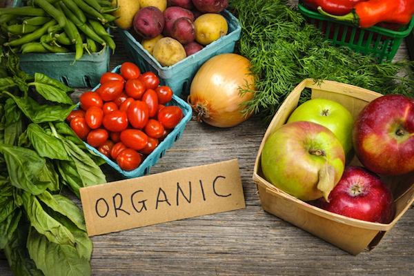 Image result for organic food dangers