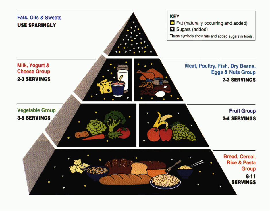 usda-food-guide-pyramid-women-fitness