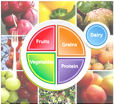 USDA unveils MyPlate as the new food icon