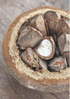 Brazil Nuts: A Miracle Nut in your Diet