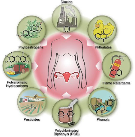 Chemical Exposure Linked to Earlier Menopause