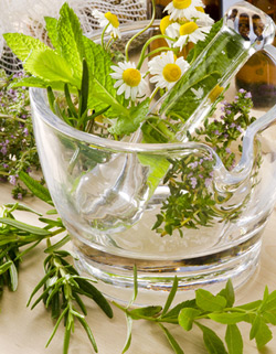 Herbs That Help Shed Pounds