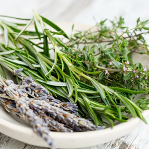 Herbs for Managing Headache