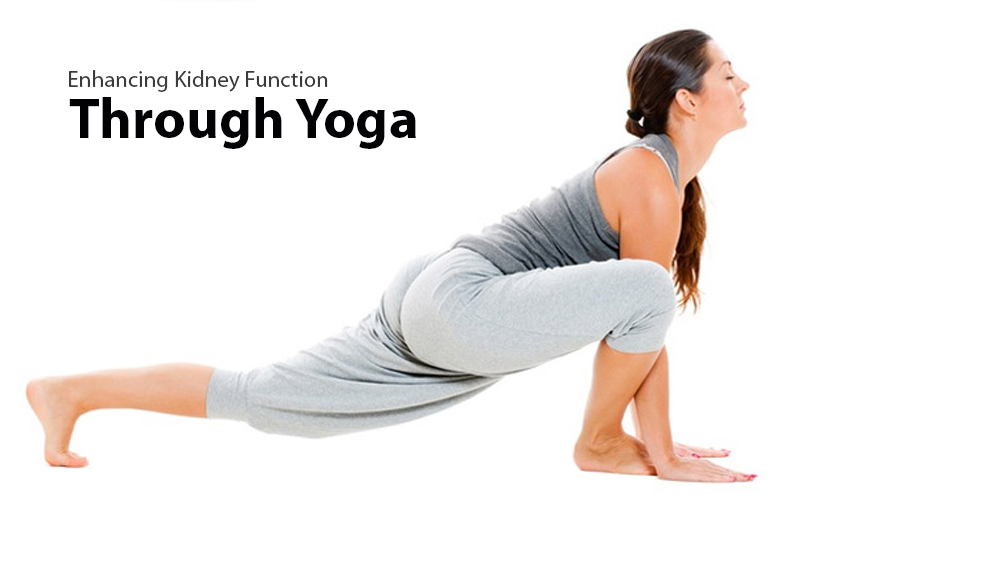 Enhancing Kidney Function Through Yoga