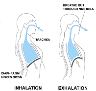 Yoga for Pain Management