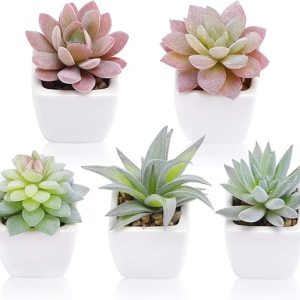 FUNARTY 5pcs Artificial Succulent Plants in White Ceramic Pots, Fake Small Fake Plants