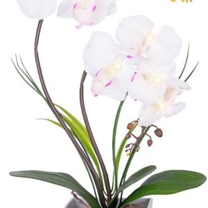 Homeseaons Orchid Lamp-LED Lighted Orchid Arrangements,Pre Lit Artificial