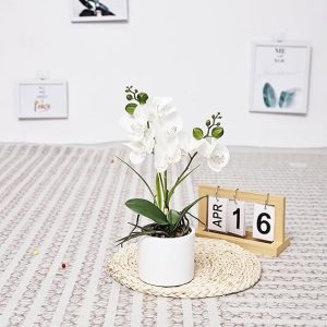 Jusdreen 1 Pcs Ceramic Vase Artificial Orchid Flower Bonsai Vivid Phalaenopsis Flowers