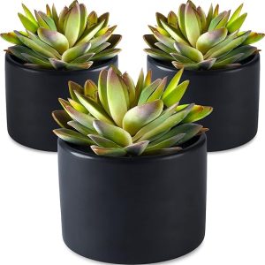 SEEKO Succulents Artificial Succulents in Ceramic Pots (3 Set) Realistic & Beautiful Fake Succulents for Desk