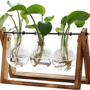 XXXFLOWER Plant Terrarium with Wooden Stand, Air Planter Bulb Glass Vase Metal