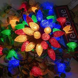 100LED 81 FT C9 Christmas String Lights Plug in Fairy Twinkle String Lights 8 Modes Timer Function Waterproof