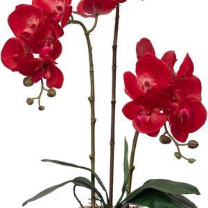 Artificial Orchid Flowers Set Fake Phalaenopsis Flower Faux Butterfly Orchid Real Touch