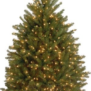 National Tree Company Pre-Lit Artificial Mini Christmas Tree, Green, Dunhill Fir, White Lights, Includes Stand, 4 Feet