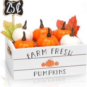 Thanksgiving Decor, Fall Tiered Tray Decor, Fall Pumpkin Mini Wood Crate Decorations Set