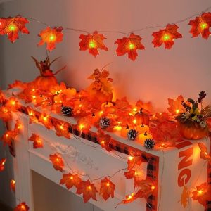 YEGUO 2 Packs Thanksgiving Decorations for Home, Thanksgiving Lights Battery Operated, Total 20ft 40 LED Lighted