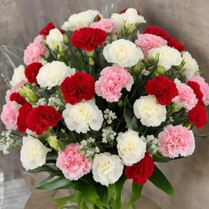 12 Assorted Carnation Without Vase - Holidays Collection - KaBloom Prime Next Day - Gift for Birthday, Anniversary, Get Well, Thank You, Valentine, Mother’s Day Fresh Flowers