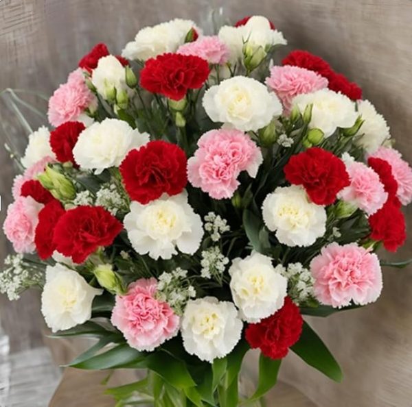 12 Assorted Carnation Without Vase - Holidays Collection - KaBloom Prime Next Day - Gift for Birthday, Anniversary, Get Well, Thank You, Valentine, Mother’s Day Fresh Flowers