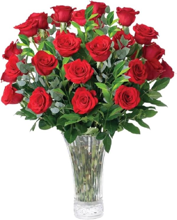 2 Dozen Red Roses Bouquet, Fresh Holiday Flowers for Christmas Gift, Winter Roses for Christmas Decor, Seasonal Flowers