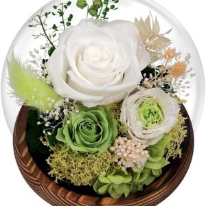 Eightown Green Roses Preserved 100% Real Flower in Glass Dome - Real Rose Gift for Her - Forever Gift