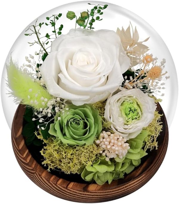 Eightown Green Roses Preserved 100% Real Flower in Glass Dome - Real Rose Gift for Her - Forever Gift