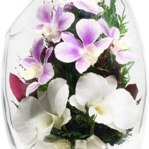 Fiora Flower | Long Lasting Orchids| Lasts up to 5 Years | No Water Need | Allergy Free | Odor Resistant | Unique Present Gift