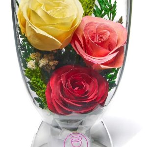 Fresh Cut Preserved Roses in a Sealed Glass Vase | Long Lasting Bouquet Stays Fresh for 5+ Years