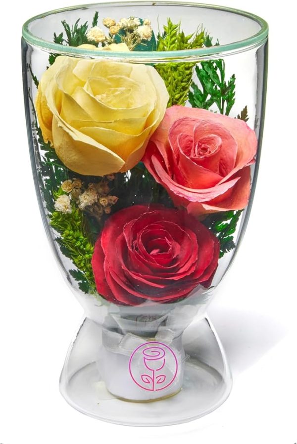 Fresh Cut Preserved Roses in a Sealed Glass Vase | Long Lasting Bouquet Stays Fresh for 5+ Years