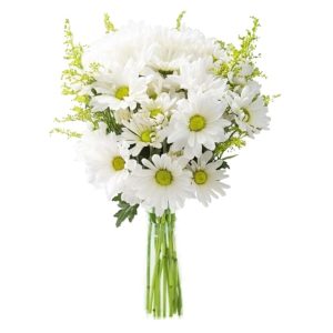 KaBloom PRIME NEXT DAY DELIVERY-Fall Collection -Bouquet of 10 White Daisy with 5 Yellow Aster