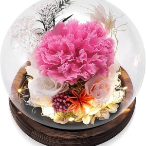 Preserved Long Lasting Flower in Globe, Unique Flower Gift for Woman, Mom, Grandma on Birthday, Christmas Day,