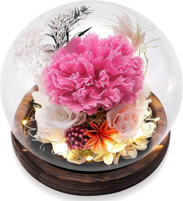 Preserved Long Lasting Flower in Globe, Unique Flower Gift for Woman, Mom, Grandma on Birthday, Christmas Day,