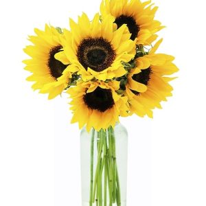 Smile Bouquet of Fresh Sunflower with Vase - Holidays Collection - KaBloom Prime Next Day - Gift for Birthday, Anniversary, Get Well, Thank You, Valentine, Mother’s Day Fresh Flowers