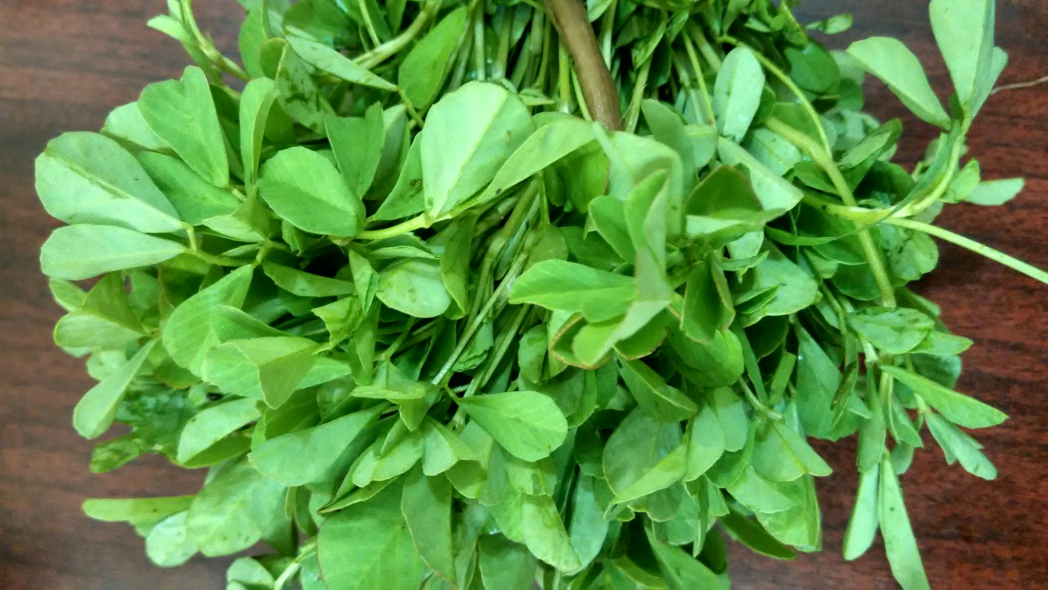 Fenugreek A Spoonful Of Aphrodisiac Women Fitness