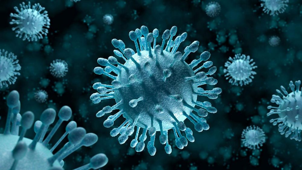 New Discoveries On Bacterial Viruses - Women Fitness