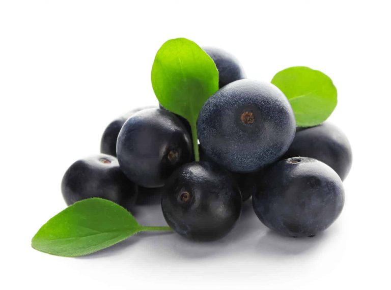 Encyclopedia of Health Benefits of Berries - Women Fitness